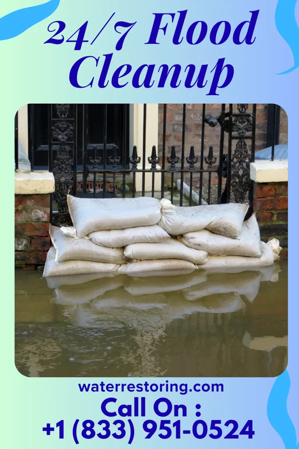 24/7 Flood Cleanup in Crane, MO
