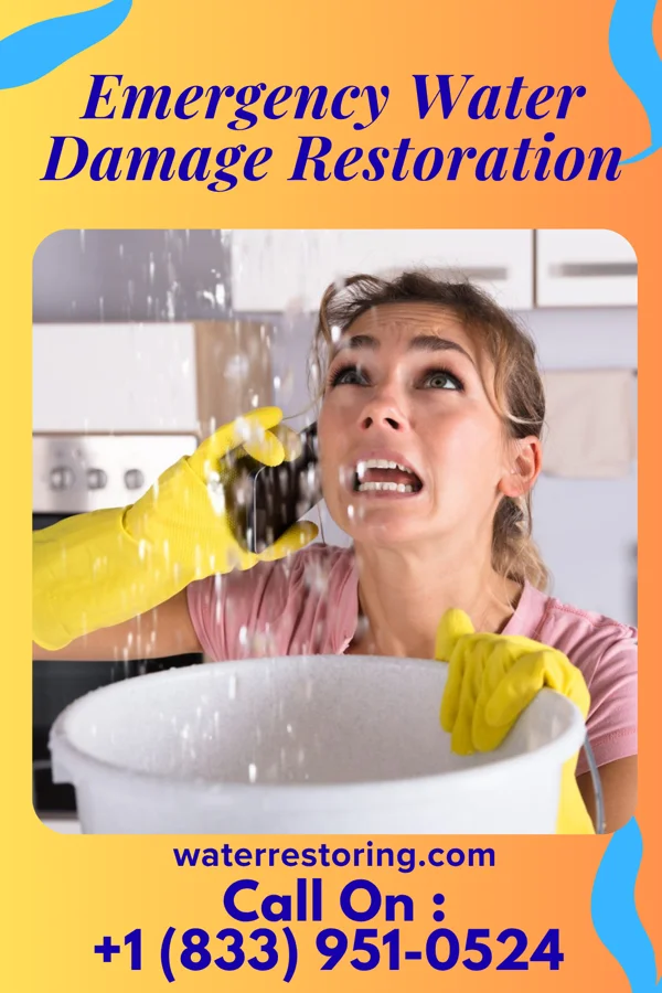 Emergency Water Damage Restoration in Crane, MO