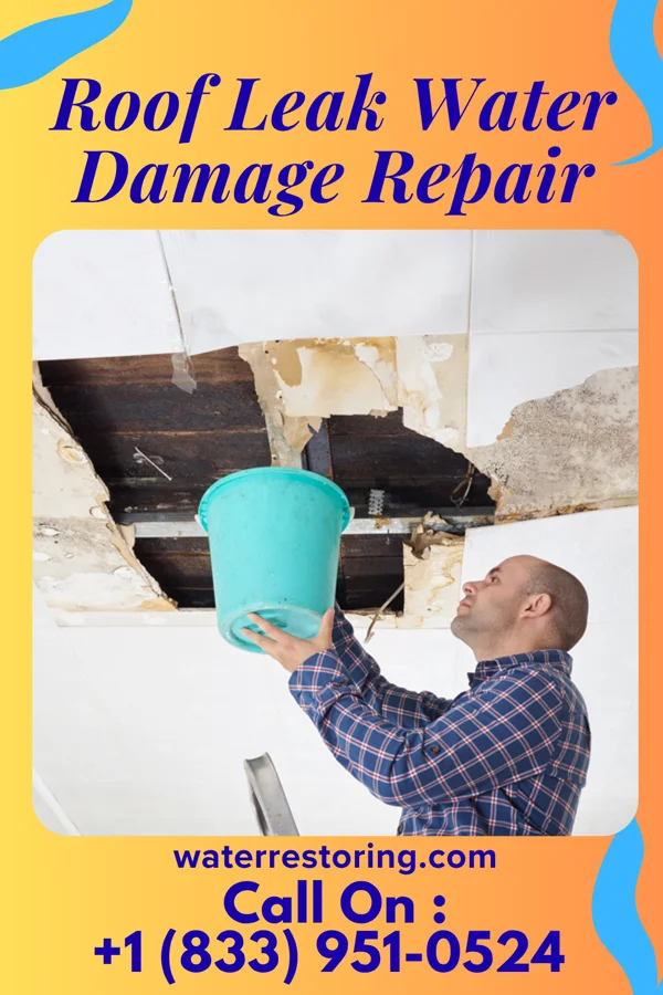Roof Leak Water Damage Repair in Crane, MO