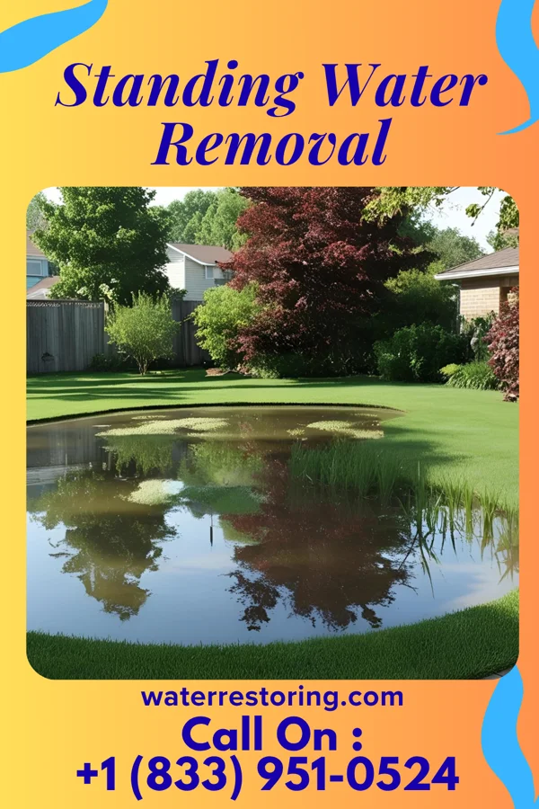Standing Water Removal in Crane, MO